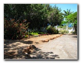 Pua-Mau-Place-Botanical-Garden-Kawaihae-Big-Island-Hawaii-005