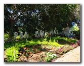 Pua-Mau-Place-Botanical-Garden-Kawaihae-Big-Island-Hawaii-006