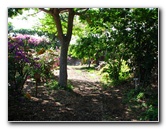 Pua-Mau-Place-Botanical-Garden-Kawaihae-Big-Island-Hawaii-017