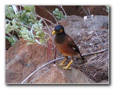 Pua-Mau-Place-Botanical-Garden-Kawaihae-Big-Island-Hawaii-018