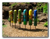 Pua-Mau-Place-Botanical-Garden-Kawaihae-Big-Island-Hawaii-019