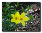 Pua-Mau-Place-Botanical-Garden-Kawaihae-Big-Island-Hawaii-023