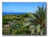 Pua-Mau-Place-Botanical-Garden-Kawaihae-Big-Island-Hawaii-038