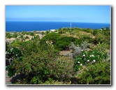 Pua-Mau-Place-Botanical-Garden-Kawaihae-Big-Island-Hawaii-039