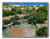 Pua-Mau-Place-Botanical-Garden-Kawaihae-Big-Island-Hawaii-040