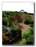 Pua-Mau-Place-Botanical-Garden-Kawaihae-Big-Island-Hawaii-044