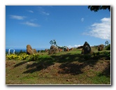 Pua-Mau-Place-Botanical-Garden-Kawaihae-Big-Island-Hawaii-050