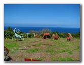 Pua-Mau-Place-Botanical-Garden-Kawaihae-Big-Island-Hawaii-052