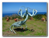 Pua-Mau-Place-Botanical-Garden-Kawaihae-Big-Island-Hawaii-053