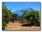 Pua-Mau-Place-Botanical-Garden-Kawaihae-Big-Island-Hawaii-070