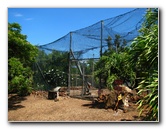 Pua-Mau-Place-Botanical-Garden-Kawaihae-Big-Island-Hawaii-071