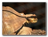 Pua-Mau-Place-Botanical-Garden-Kawaihae-Big-Island-Hawaii-081