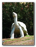 Pua-Mau-Place-Botanical-Garden-Kawaihae-Big-Island-Hawaii-082