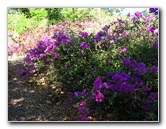 Pua-Mau-Place-Botanical-Garden-Kawaihae-Big-Island-Hawaii-084