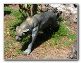 Pua-Mau-Place-Botanical-Garden-Kawaihae-Big-Island-Hawaii-086