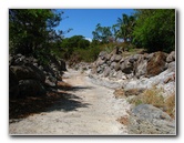 Pua-Mau-Place-Botanical-Garden-Kawaihae-Big-Island-Hawaii-088