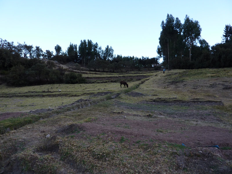 Puca-Pucara-Red-Fort-Incan-Ruins-Cusco-Peru-010