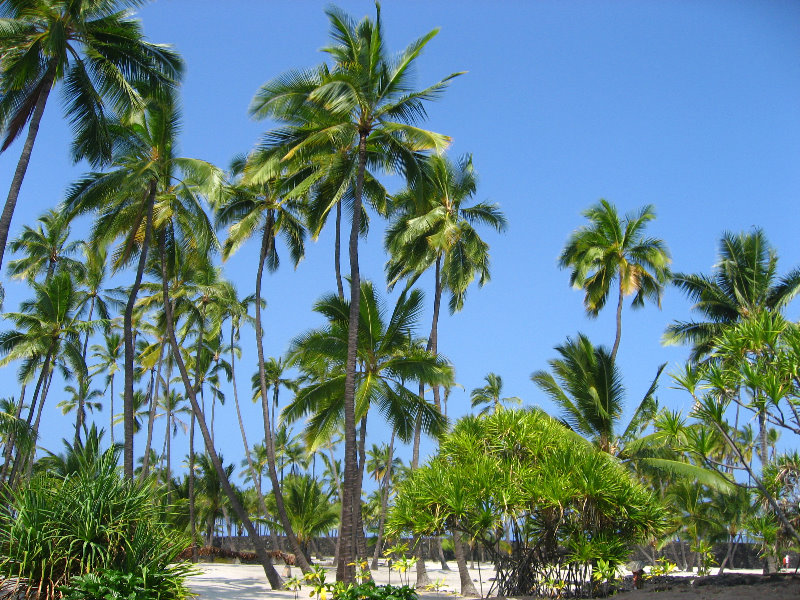 Puuhonua-o-Honaunau-Place-of-Refuge-National-Historic-Park-Big-Island-Hawaii-008