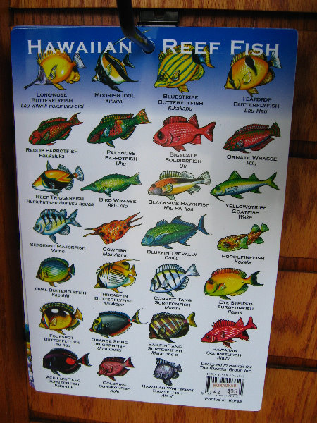 Puuhonua-o-Honaunau-Place-of-Refuge-National-Historic-Park-Big-Island-Hawaii-036