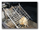 Puuhonua-o-Honaunau-Place-of-Refuge-National-Historic-Park-Big-Island-Hawaii-035