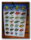 Puuhonua-o-Honaunau-Place-of-Refuge-National-Historic-Park-Big-Island-Hawaii-036