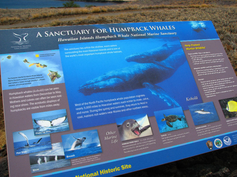 Puukohola-Heiau-National-Historic-Site-Big-Island-Hawaii-006