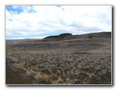 Puukohola-Heiau-National-Historic-Site-Big-Island-Hawaii-012