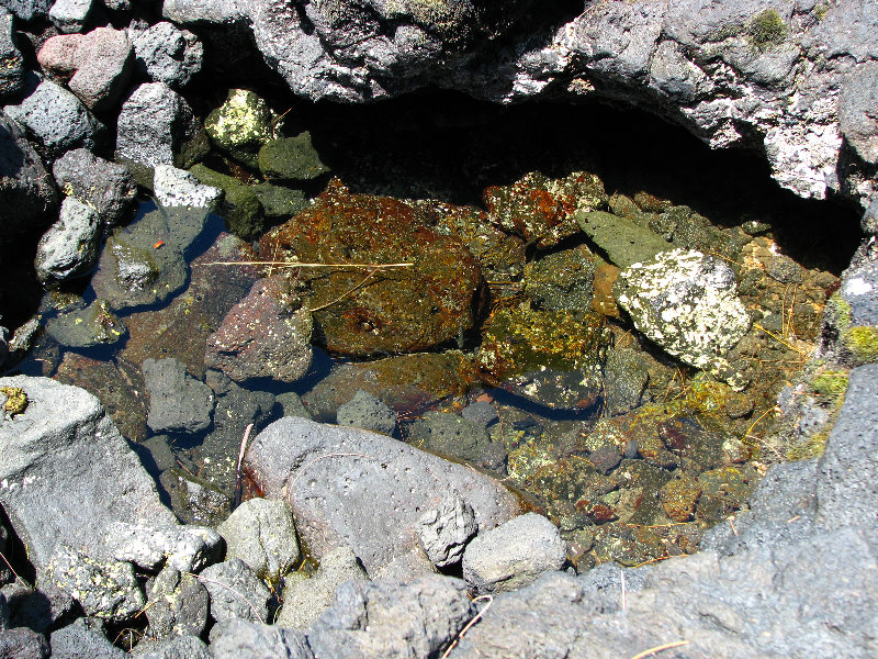 Queen-Liliuokalani-Park-and-Japanese-Gardens-Hilo-Big-Island-009
