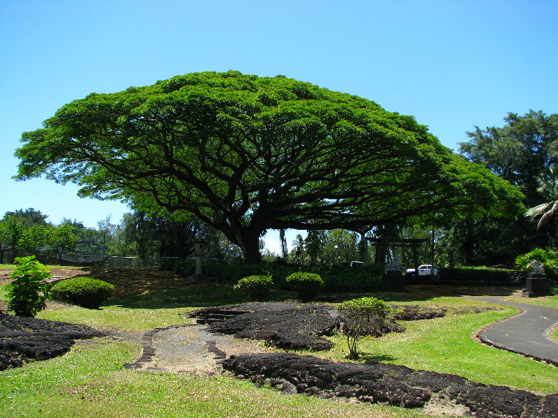 Queen-Liliuokalani-Park-and-Japanese-Gardens-Hilo-Big-Island-036