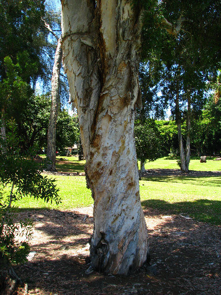 Queen-Liliuokalani-Park-and-Japanese-Gardens-Hilo-Big-Island-041