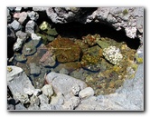 Queen-Liliuokalani-Park-and-Japanese-Gardens-Hilo-Big-Island-009