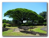 Queen-Liliuokalani-Park-and-Japanese-Gardens-Hilo-Big-Island-036
