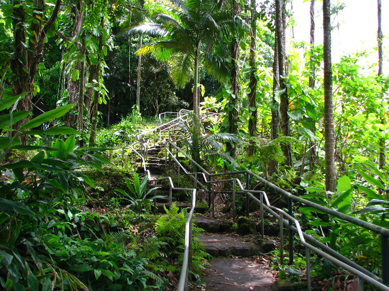 Rainbow-Falls-Wailuku-River-State-Park-Hilo-Big-Island-Hawaii-007