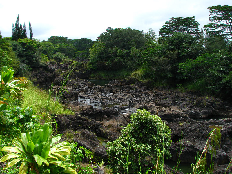 Rainbow-Falls-Wailuku-River-State-Park-Hilo-Big-Island-Hawaii-009