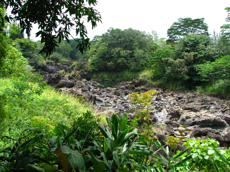 Rainbow-Falls-Wailuku-River-State-Park-Hilo-Big-Island-Hawaii-010