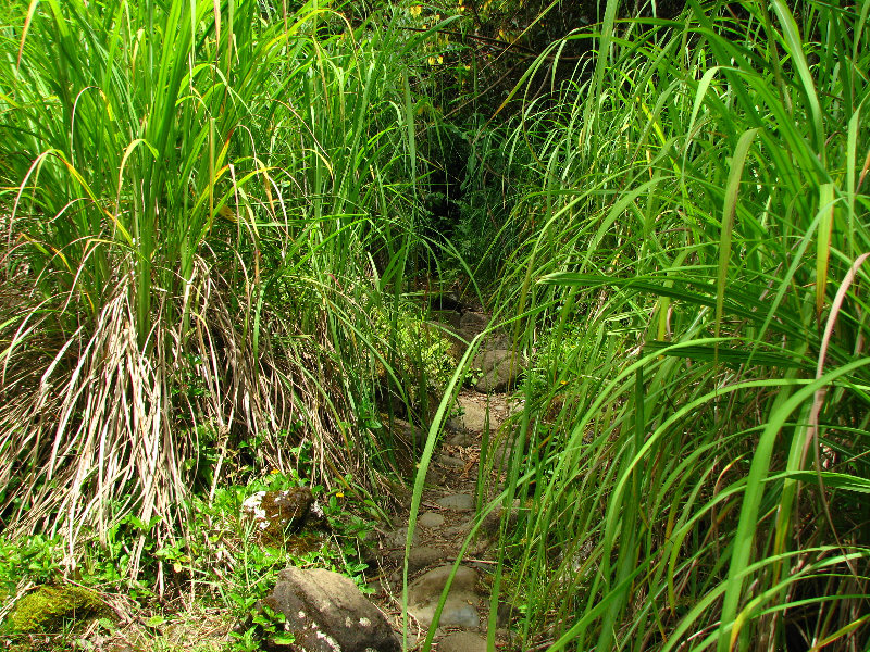 Rainbow-Falls-Wailuku-River-State-Park-Hilo-Big-Island-Hawaii-017