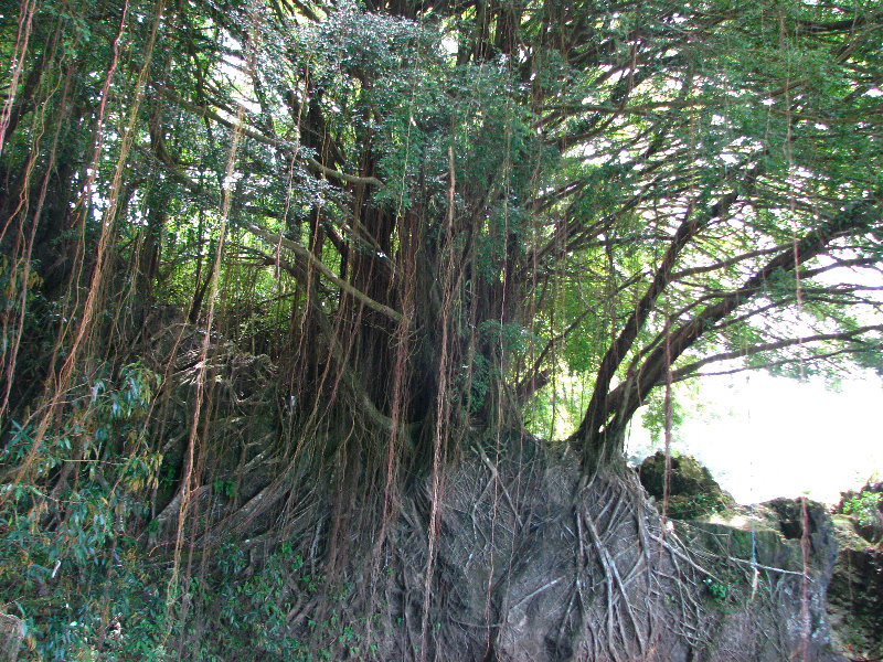Rainbow-Falls-Wailuku-River-State-Park-Hilo-Big-Island-Hawaii-021