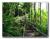 Rainbow-Falls-Wailuku-River-State-Park-Hilo-Big-Island-Hawaii-007
