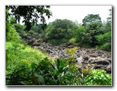 Rainbow-Falls-Wailuku-River-State-Park-Hilo-Big-Island-Hawaii-010