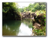 Rainbow-Falls-Wailuku-River-State-Park-Hilo-Big-Island-Hawaii-019