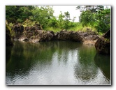 Rainbow-Falls-Wailuku-River-State-Park-Hilo-Big-Island-Hawaii-020
