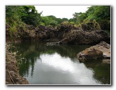 Rainbow-Falls-Wailuku-River-State-Park-Hilo-Big-Island-Hawaii-022