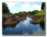 Rainbow-Falls-Wailuku-River-State-Park-Hilo-Big-Island-Hawaii-023