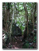 Rainbow-Falls-Wailuku-River-State-Park-Hilo-Big-Island-Hawaii-024