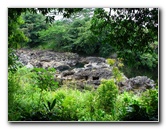 Rainbow-Falls-Wailuku-River-State-Park-Hilo-Big-Island-Hawaii-025
