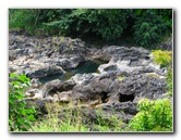 Rainbow-Falls-Wailuku-River-State-Park-Hilo-Big-Island-Hawaii-026