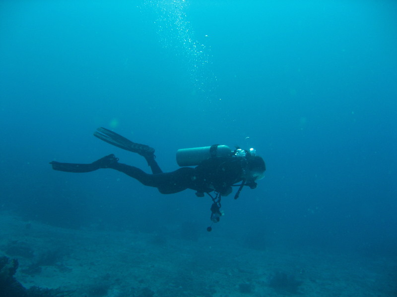 Rainbow-Reef-Scuba-Diving-Taveuni-Fiji-036