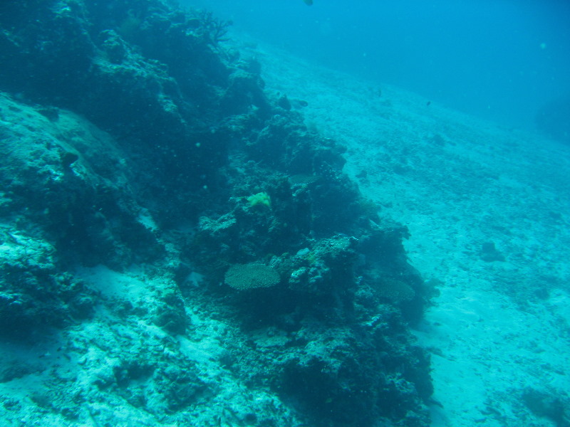 Rainbow-Reef-Scuba-Diving-Taveuni-Fiji-102