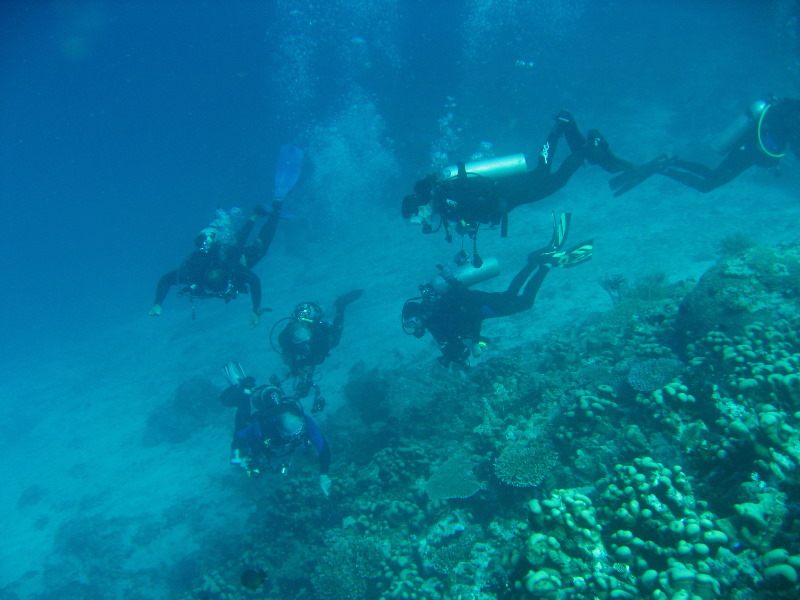 Rainbow-Reef-Scuba-Diving-Taveuni-Fiji-144