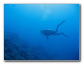 Rainbow-Reef-Scuba-Diving-Taveuni-Fiji-012